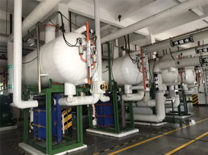 东软股份探寻安全生产生命线，赴千岛湖啤酒厂研习引领业务新序